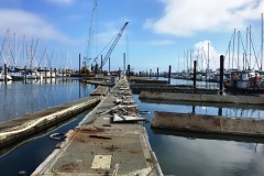 E-Dock-removal-2