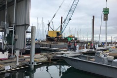 E-Dock-Near-covered-piling-October-9-2020