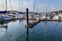 Seals-Dock-August-31-2022