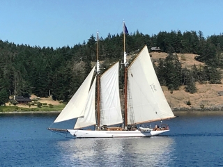 Cruising the  San Juan Islands