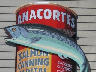 salmon-can_0