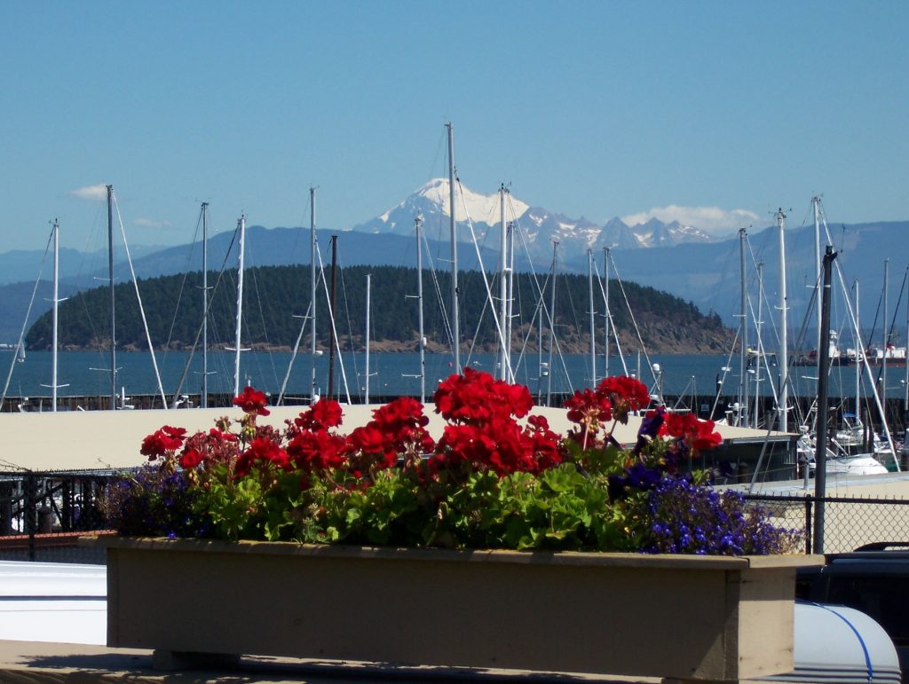 flowers-and-mt2